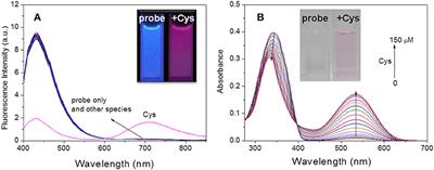 A Near-Infrared Ratiometric Fluorescent Probe for Highly Selective Recognition and Bioimaging of Cysteine